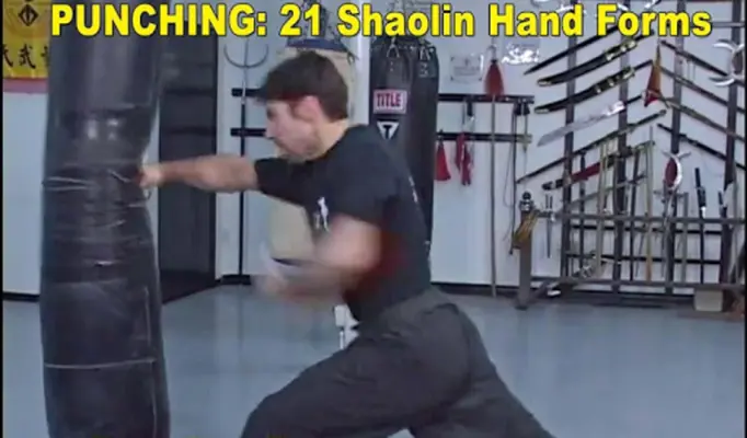 Shaolin Kung Fu android App screenshot 9